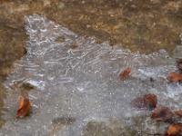 Blätter auf in den fließenden Lochgrabenbach ragende Eisfläche